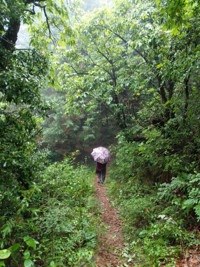Namastay Himalayas, Канатал Екстериор снимка