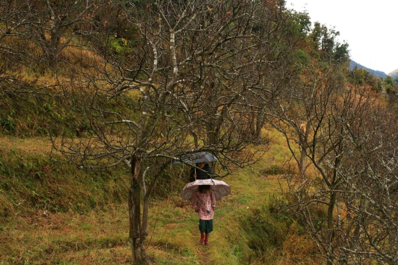 Namastay Himalayas, Канатал Екстериор снимка