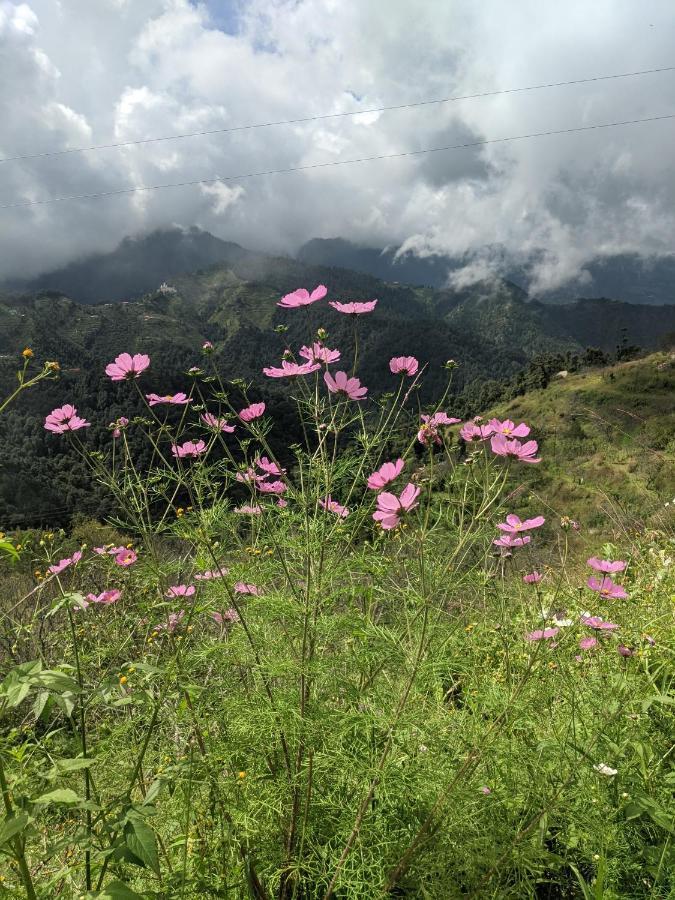 Namastay Himalayas, Канатал Екстериор снимка